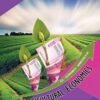 Economics (a) - Agricultural Economics (E.M.)
